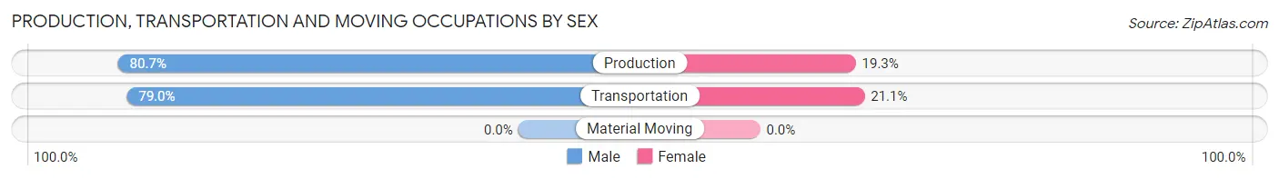 Production, Transportation and Moving Occupations by Sex in Bridgman
