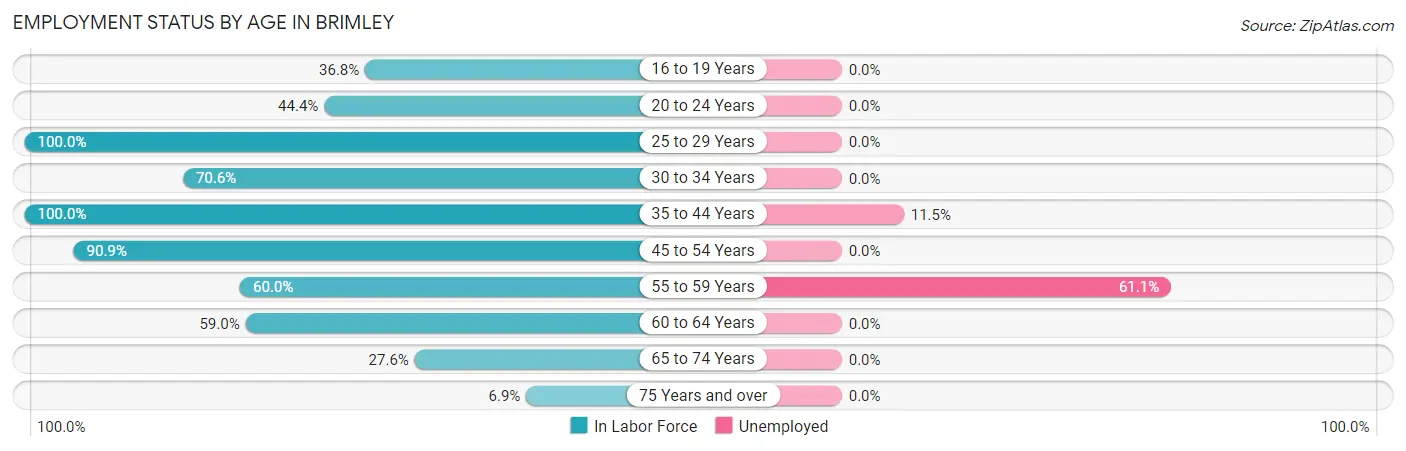 Employment Status by Age in Brimley
