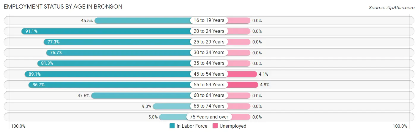 Employment Status by Age in Bronson