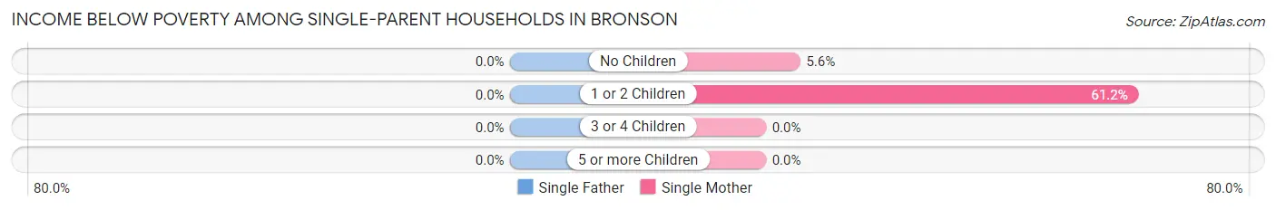 Income Below Poverty Among Single-Parent Households in Bronson