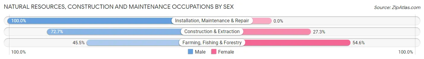 Natural Resources, Construction and Maintenance Occupations by Sex in Bronson