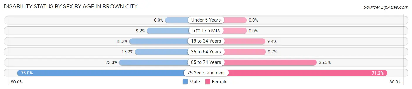 Disability Status by Sex by Age in Brown City