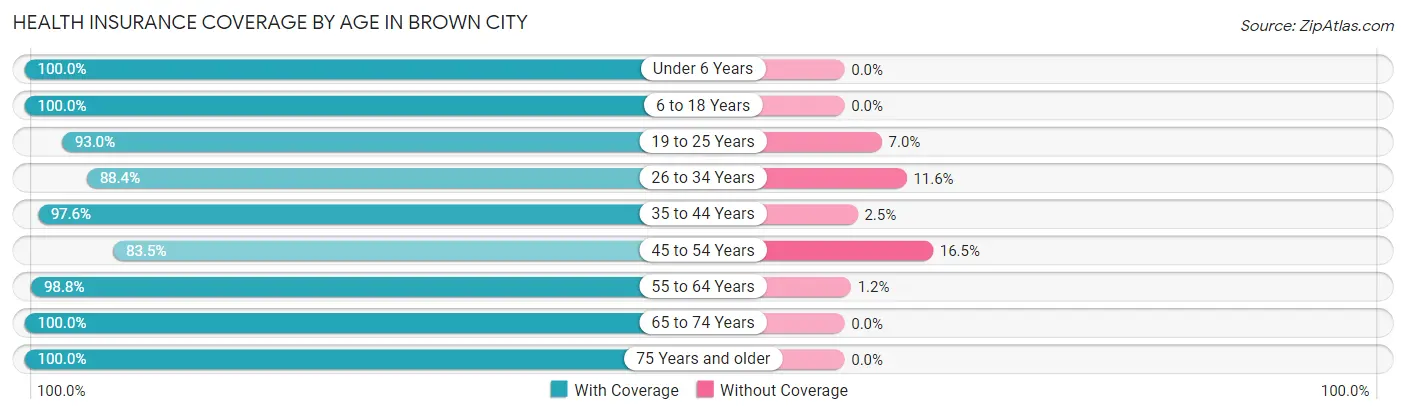 Health Insurance Coverage by Age in Brown City