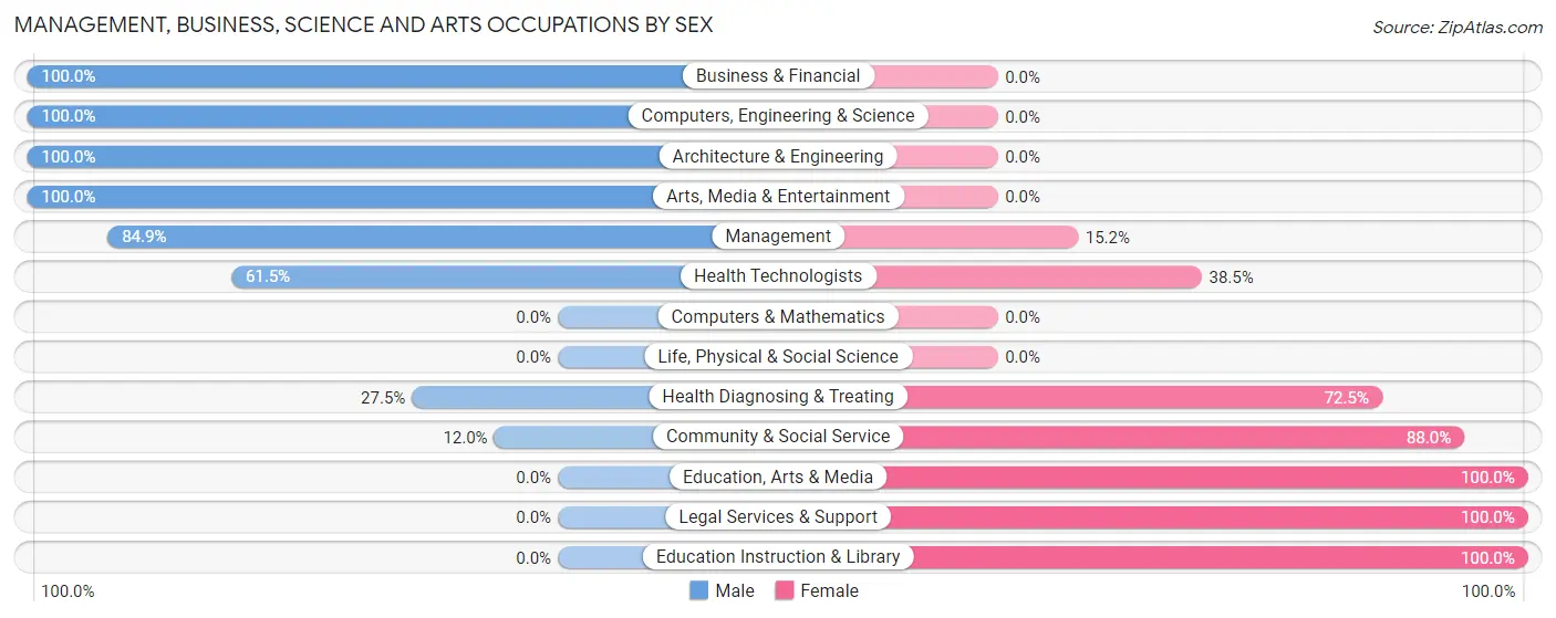 Management, Business, Science and Arts Occupations by Sex in Brown City