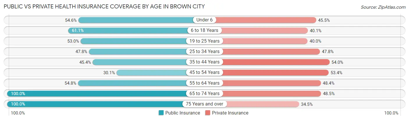Public vs Private Health Insurance Coverage by Age in Brown City