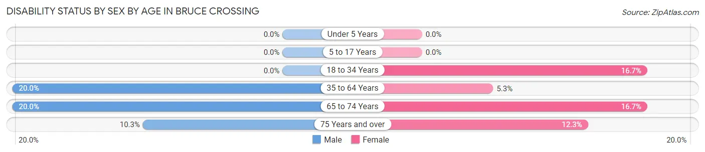 Disability Status by Sex by Age in Bruce Crossing