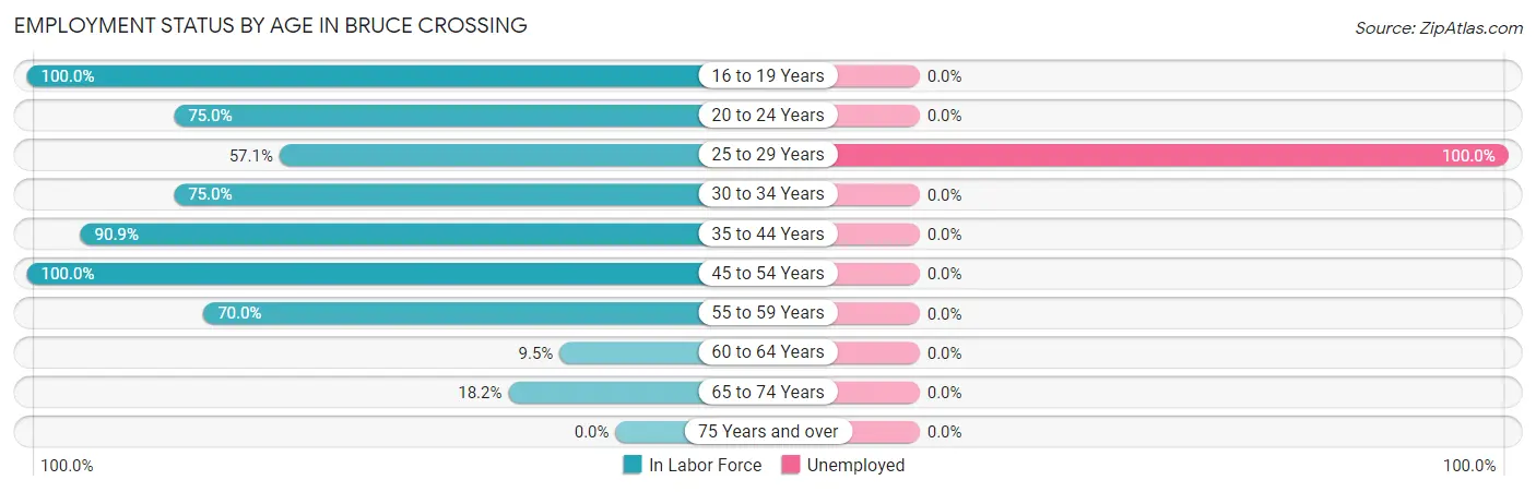 Employment Status by Age in Bruce Crossing