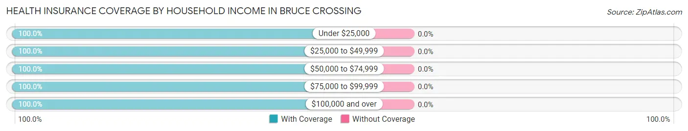 Health Insurance Coverage by Household Income in Bruce Crossing