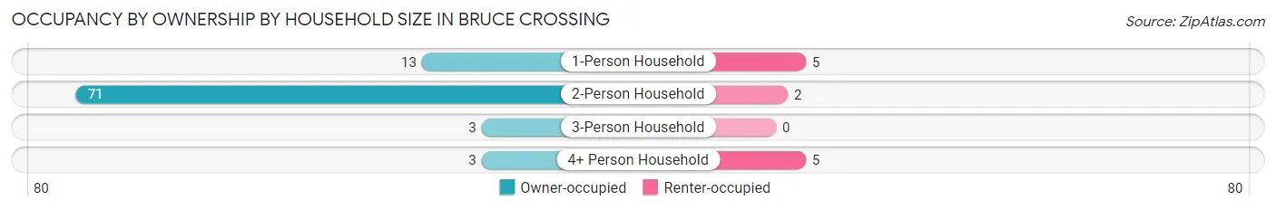 Occupancy by Ownership by Household Size in Bruce Crossing