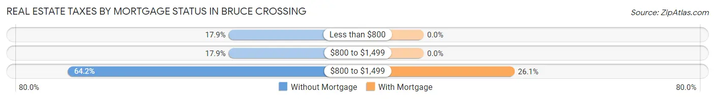 Real Estate Taxes by Mortgage Status in Bruce Crossing