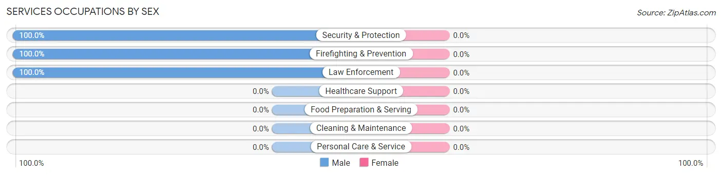 Services Occupations by Sex in Bruce Crossing