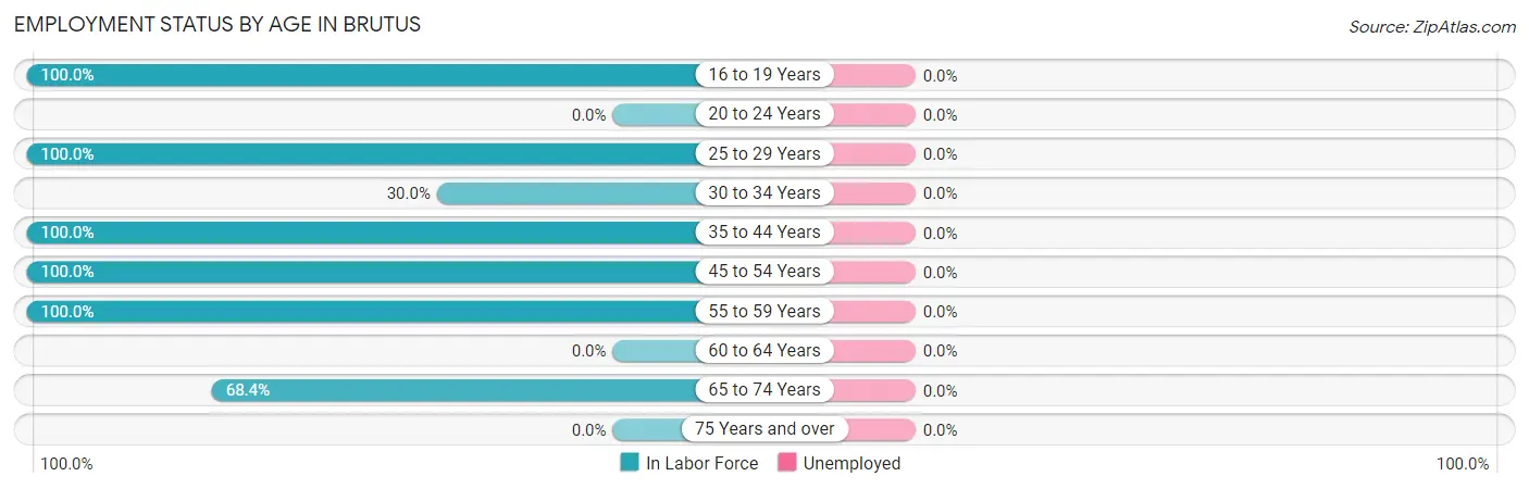 Employment Status by Age in Brutus