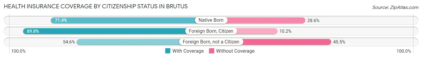 Health Insurance Coverage by Citizenship Status in Brutus