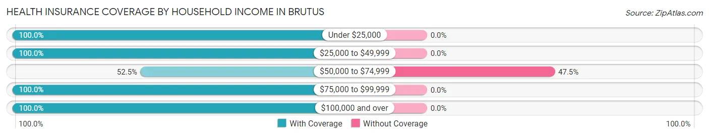 Health Insurance Coverage by Household Income in Brutus