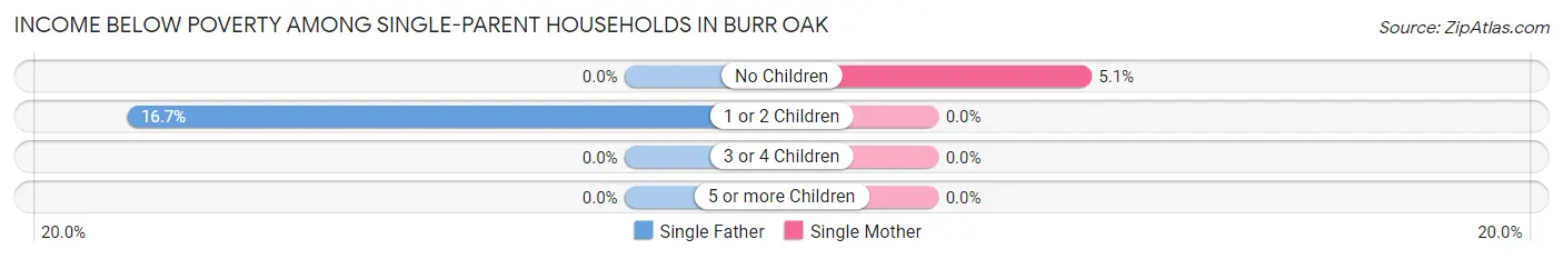 Income Below Poverty Among Single-Parent Households in Burr Oak