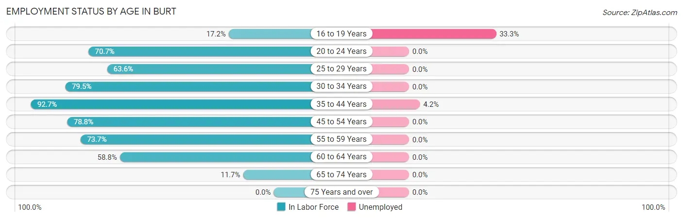 Employment Status by Age in Burt