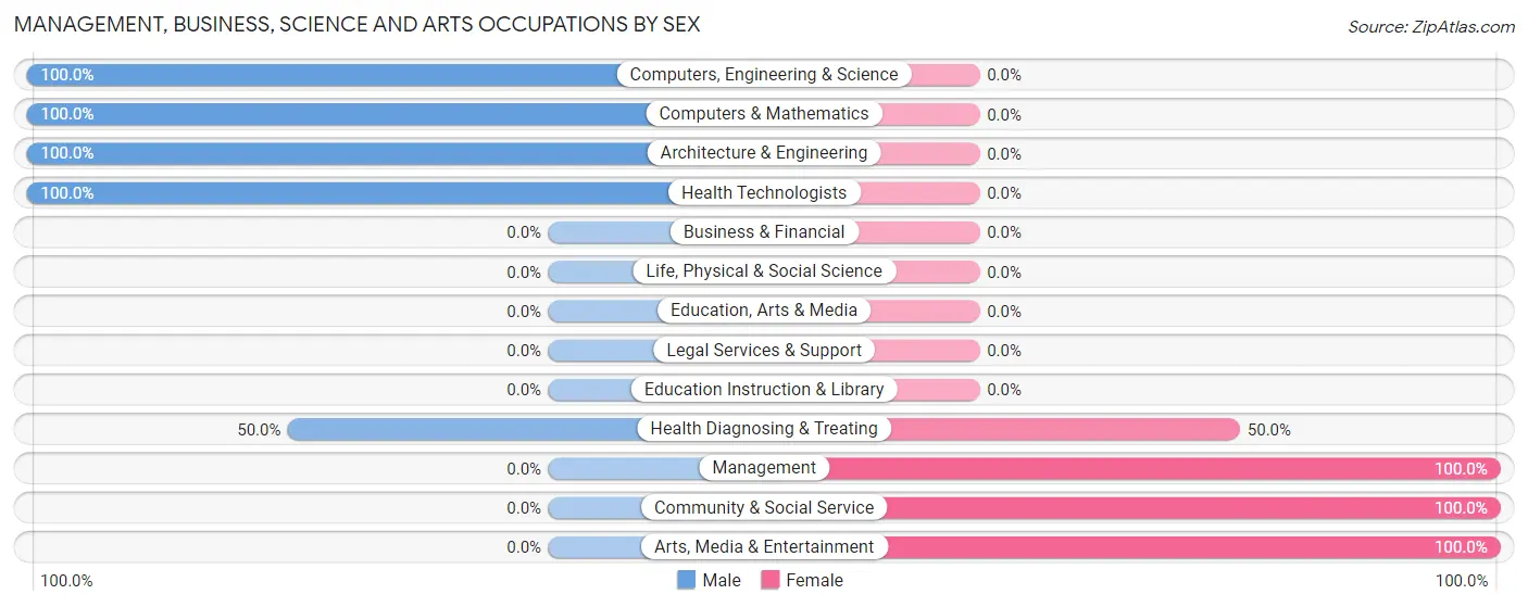 Management, Business, Science and Arts Occupations by Sex in Burt