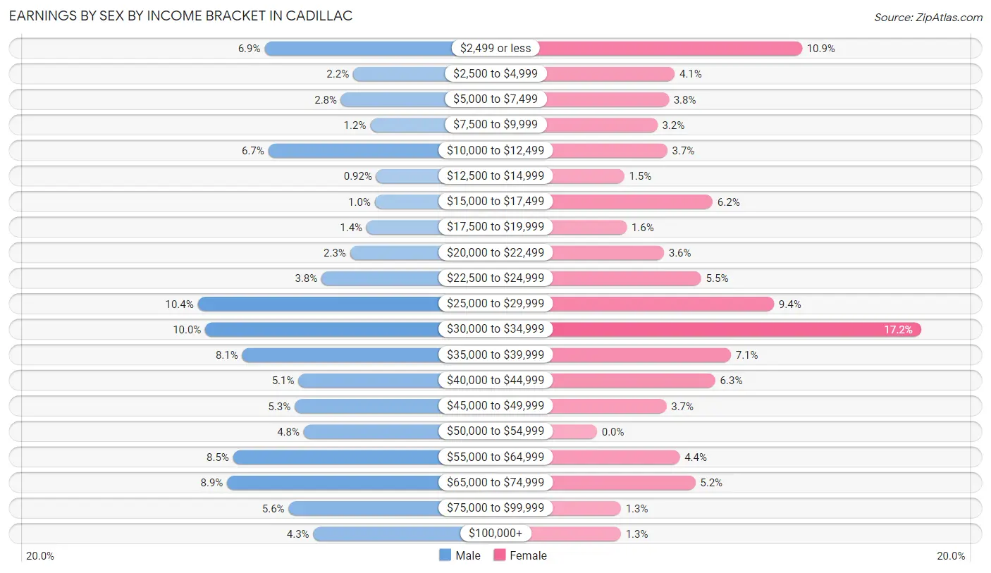 Earnings by Sex by Income Bracket in Cadillac