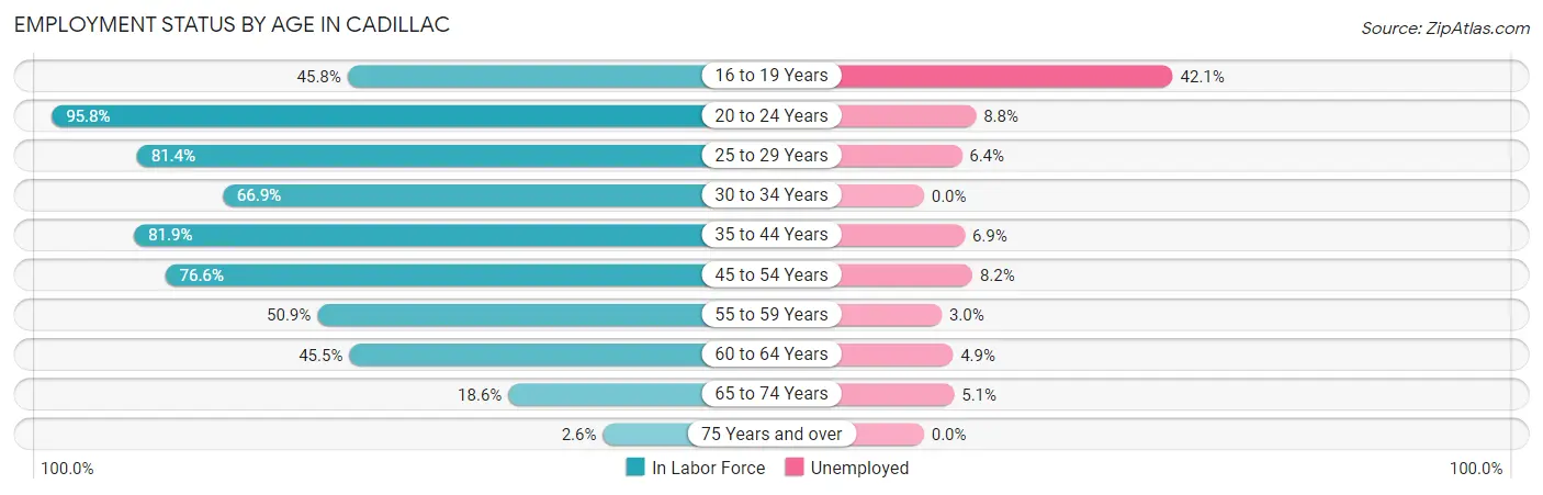 Employment Status by Age in Cadillac