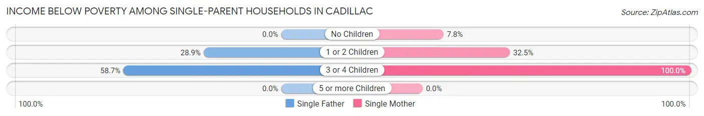 Income Below Poverty Among Single-Parent Households in Cadillac