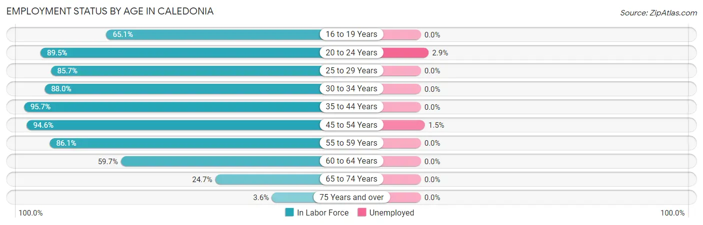 Employment Status by Age in Caledonia