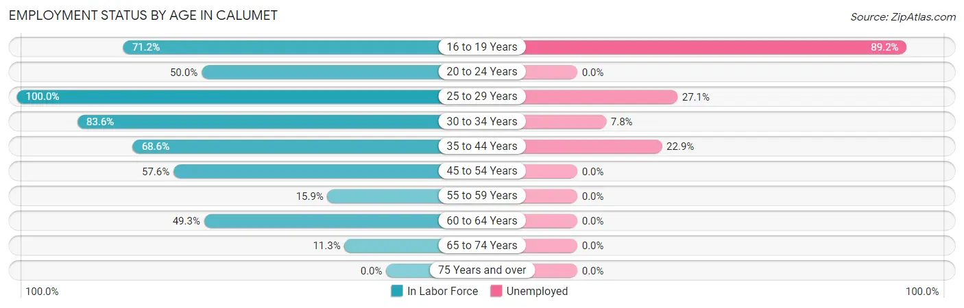 Employment Status by Age in Calumet