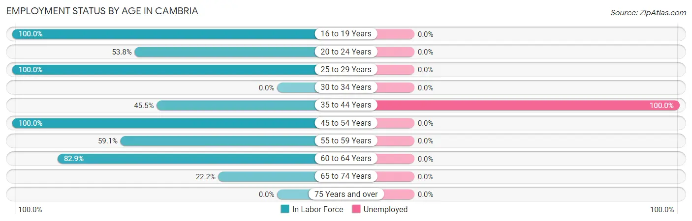 Employment Status by Age in Cambria