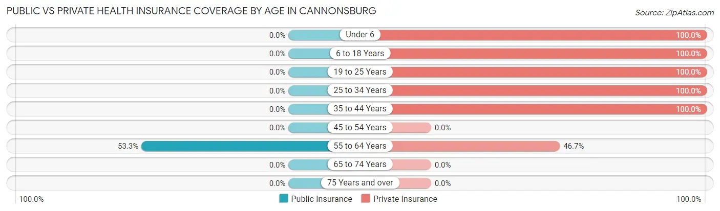 Public vs Private Health Insurance Coverage by Age in Cannonsburg
