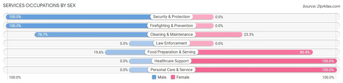 Services Occupations by Sex in Capac