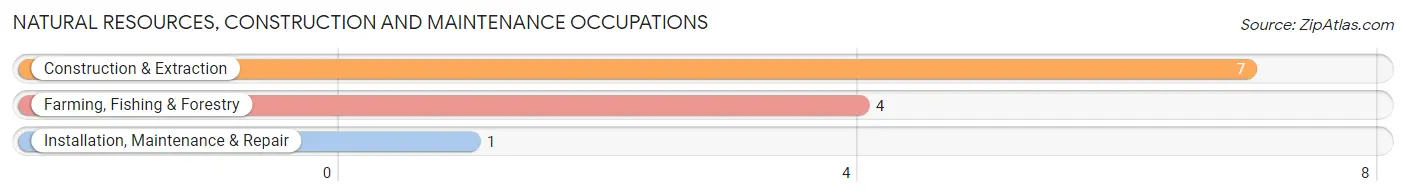 Natural Resources, Construction and Maintenance Occupations in Carney