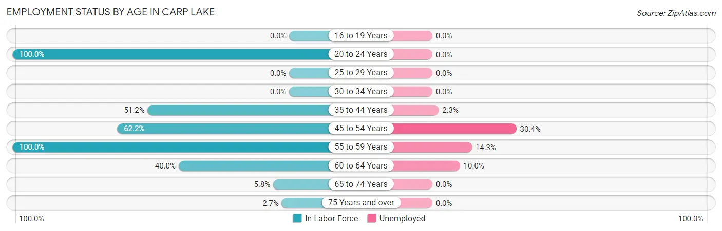 Employment Status by Age in Carp Lake