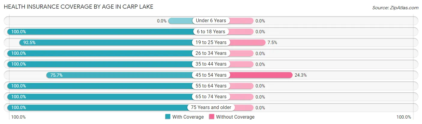Health Insurance Coverage by Age in Carp Lake