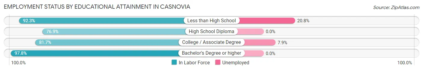 Employment Status by Educational Attainment in Casnovia