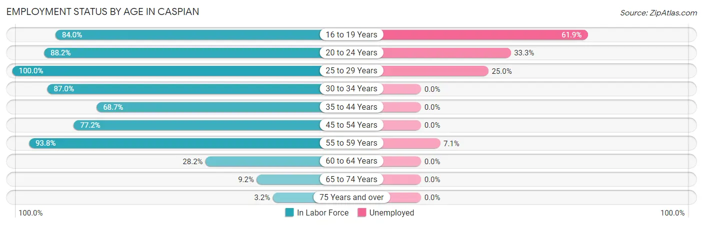 Employment Status by Age in Caspian