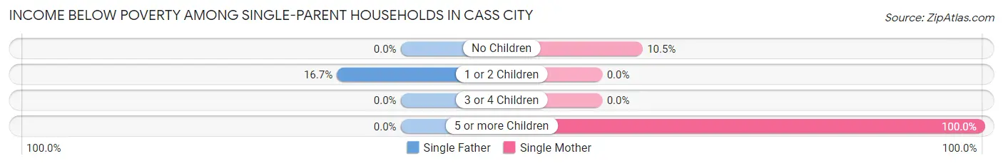 Income Below Poverty Among Single-Parent Households in Cass City