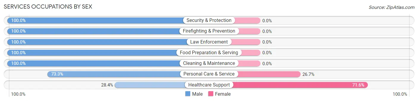 Services Occupations by Sex in Cass City