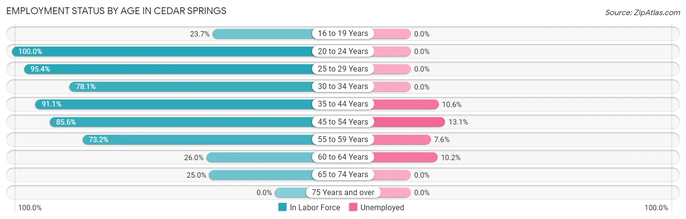 Employment Status by Age in Cedar Springs
