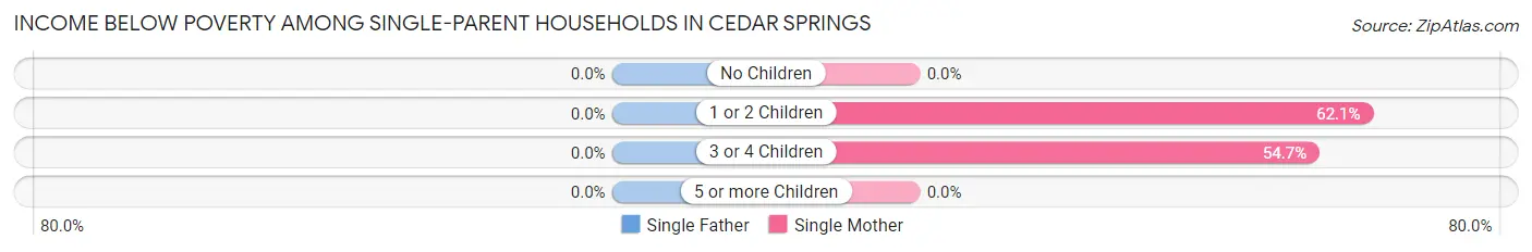 Income Below Poverty Among Single-Parent Households in Cedar Springs