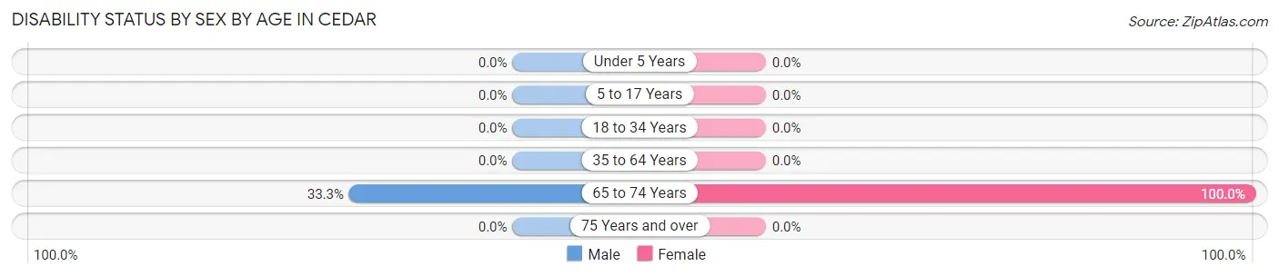 Disability Status by Sex by Age in Cedar