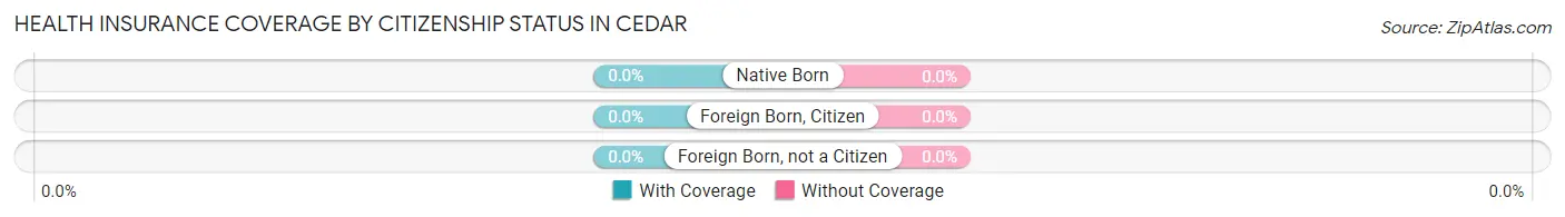 Health Insurance Coverage by Citizenship Status in Cedar
