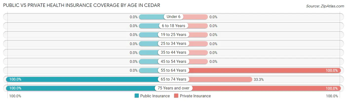 Public vs Private Health Insurance Coverage by Age in Cedar