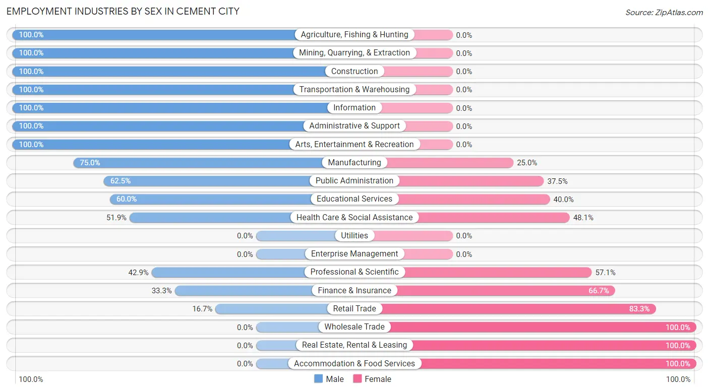 Employment Industries by Sex in Cement City