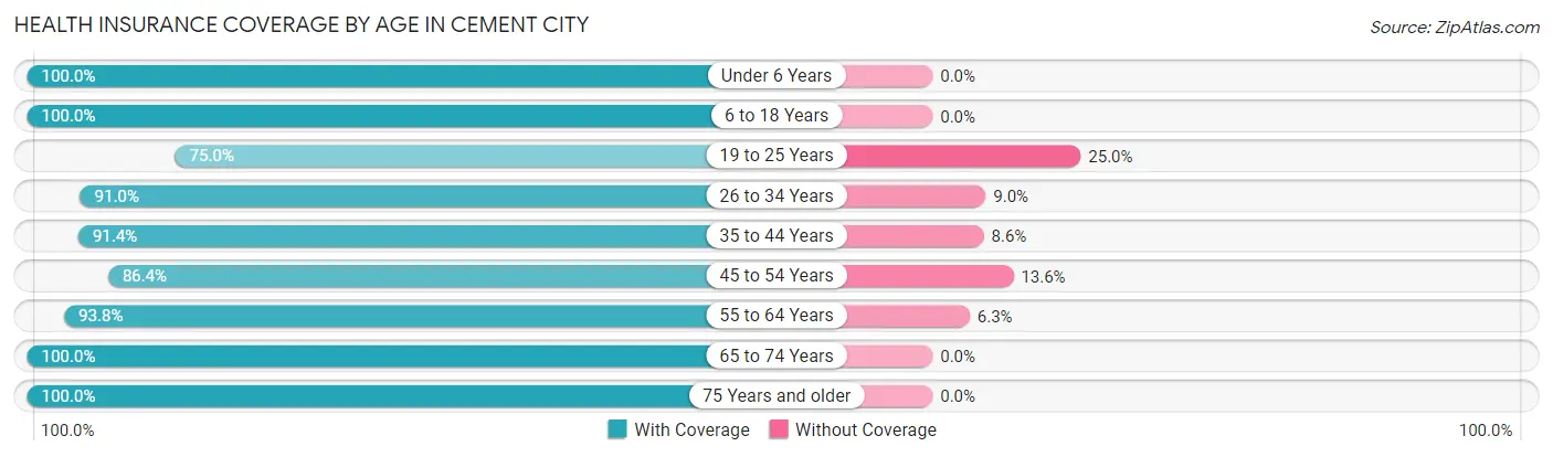 Health Insurance Coverage by Age in Cement City