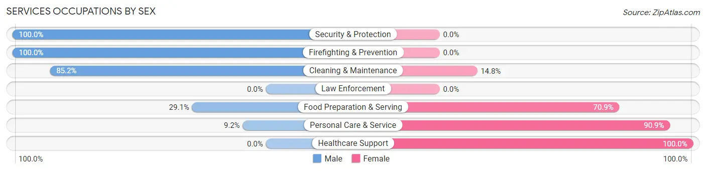 Services Occupations by Sex in Center Line
