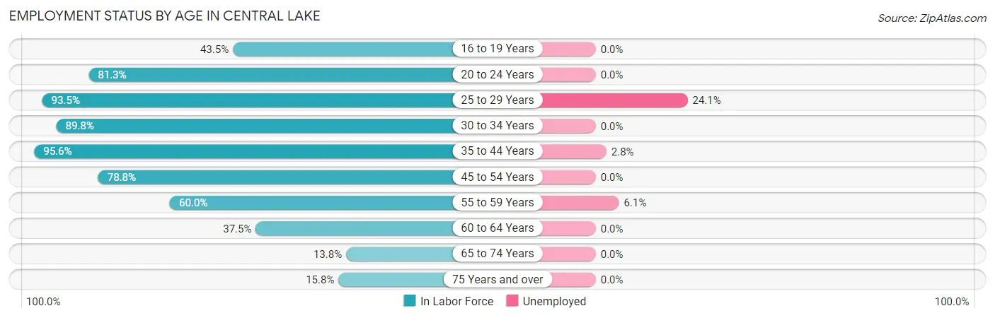 Employment Status by Age in Central Lake
