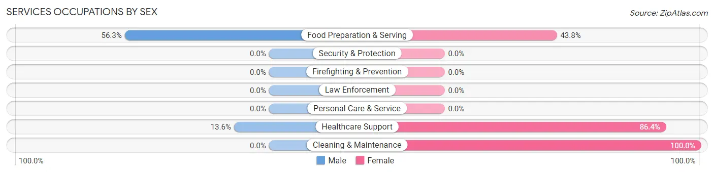 Services Occupations by Sex in Central Lake