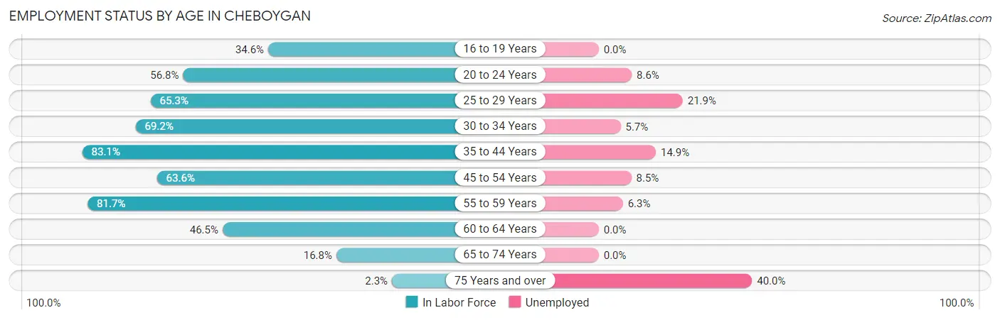 Employment Status by Age in Cheboygan