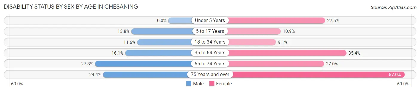 Disability Status by Sex by Age in Chesaning