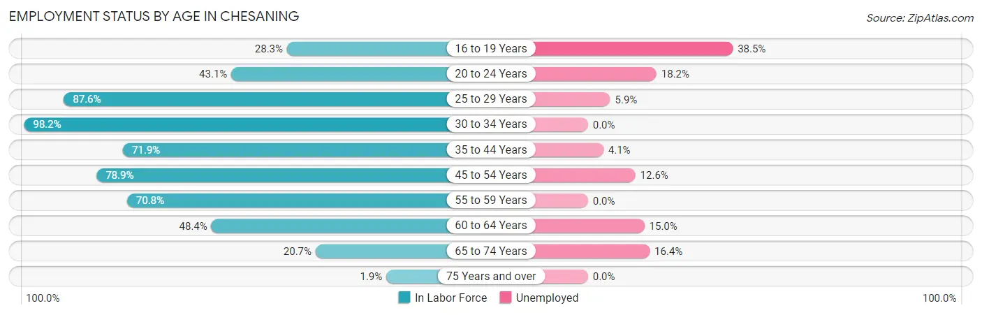Employment Status by Age in Chesaning