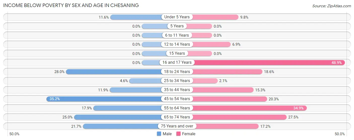 Income Below Poverty by Sex and Age in Chesaning